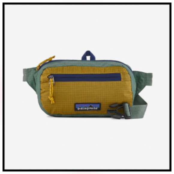Patagonia Bags Nwt Patagonia Belt Bag L Poshmark